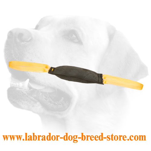 Leather Tug for Young Dog Training