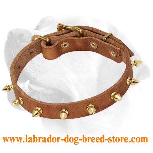Glam Rock Star Leather Collar For Labrador