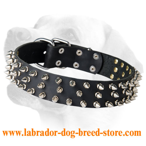 Leather Labrador Collar with 3 Rows of Spikes