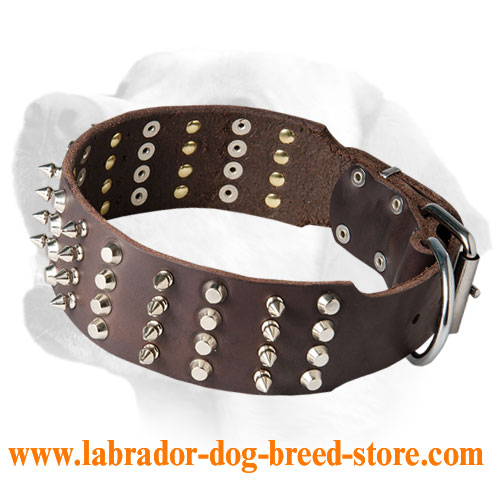 2 Inches Leather Collar with Stylish Decoration for Labrador