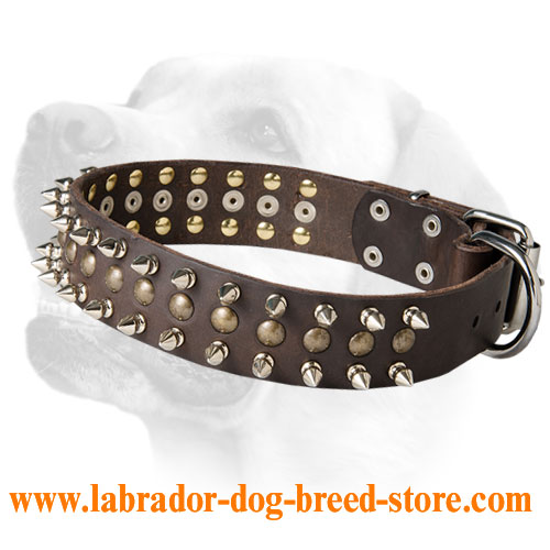 Wide Decorated Leather Labrador Collar - Click Image to Close