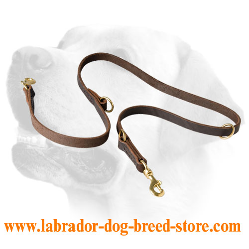 Leather Labrador leash for 7 different activities