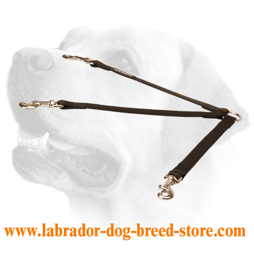 Special 3 Dogs Walking Leash