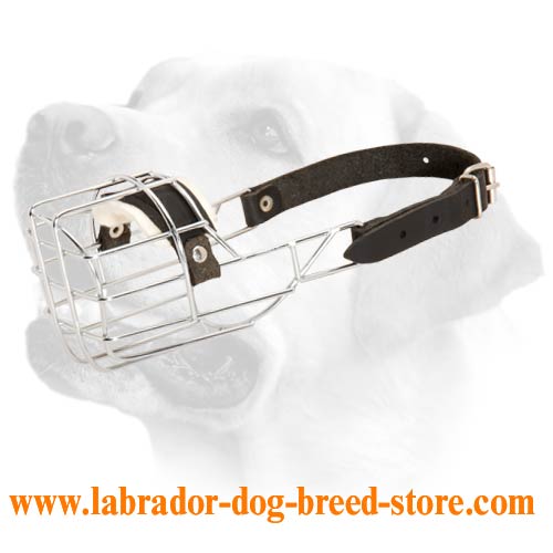 'The Silencer' One Strap Labrador Dog Muzzle