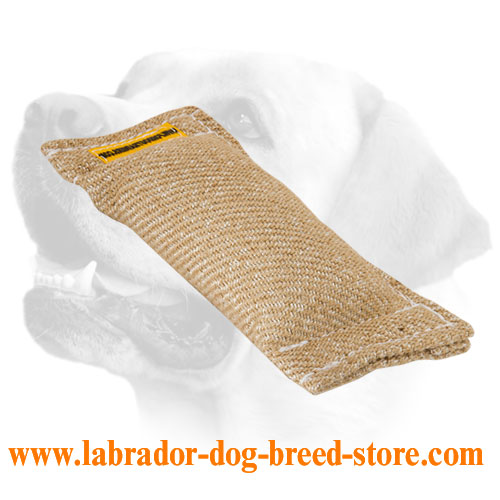 Labrador puppy durable training tug - Click Image to Close