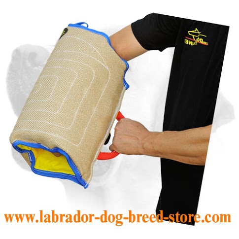 Puppy sleeve made of jute for Labrador