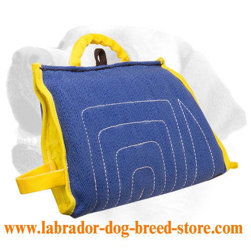 Labrador puppy French linen sleeve for training sessions