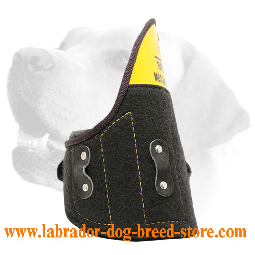 Shoulder Protector for Labrador Bite Training