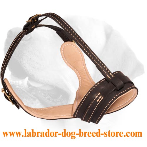 Lightweight Leather Labrador Muzzle That Controlls Barking - Click Image to Close
