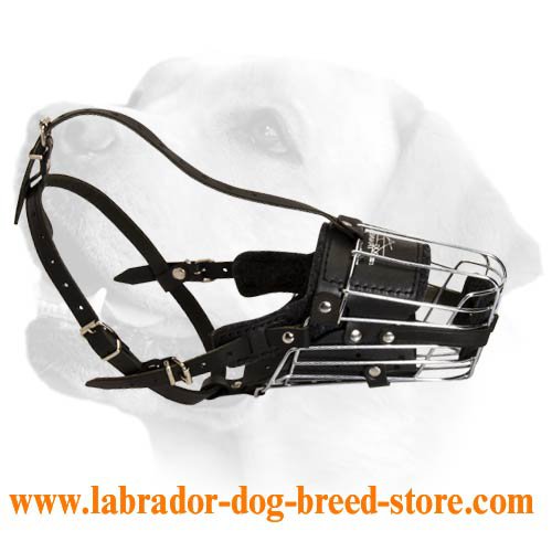 Total Control Wire Cage Muzzle