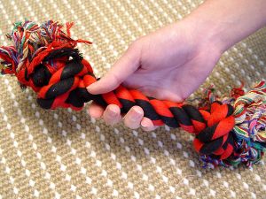 10 inches (25 cm) 2-Knot Fiber Bone. Helps to Keep Teeth Clean And Tartar Free!