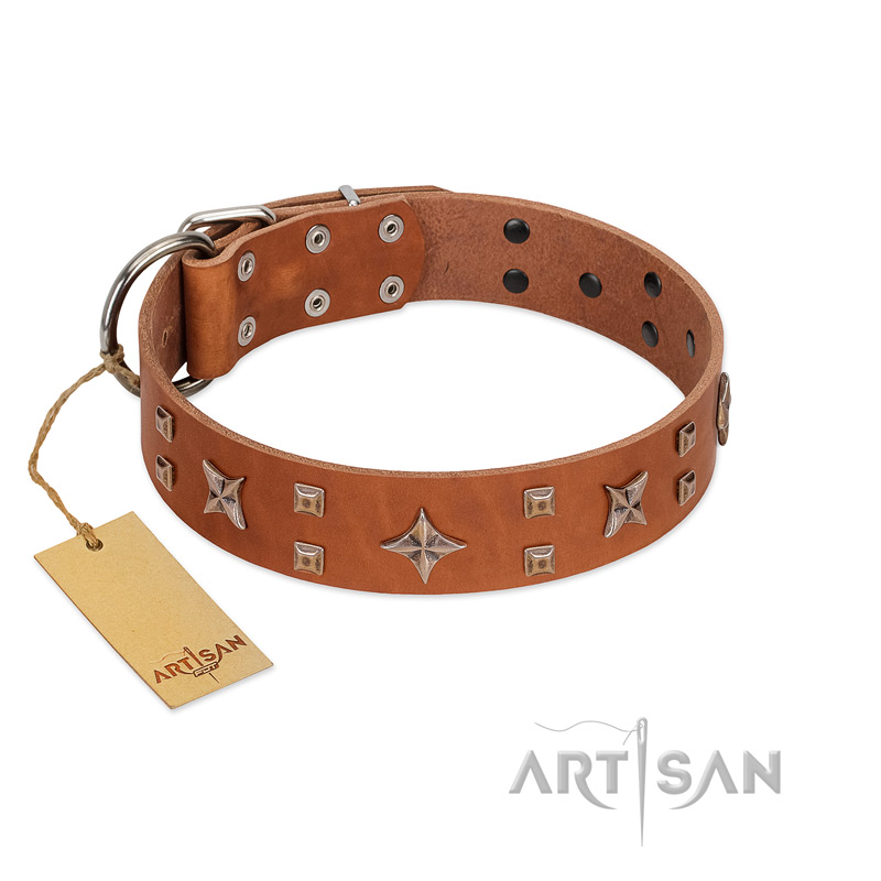 "Dreamy Gleam" FDT Artisan Tan Leather Labrador Collar Adorned with Stars and Squares