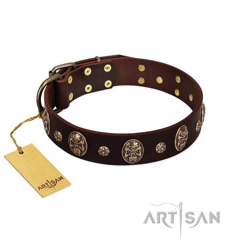 "Breaking the Horizon" FDT Artisan Brown Leather Labrador Collar with Engraved Studs and Medallions
