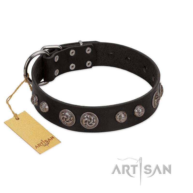 "Tricky Ricky" FDT Artisan Black Leather Labrador Collar Adorned with Silver-Like Conchos