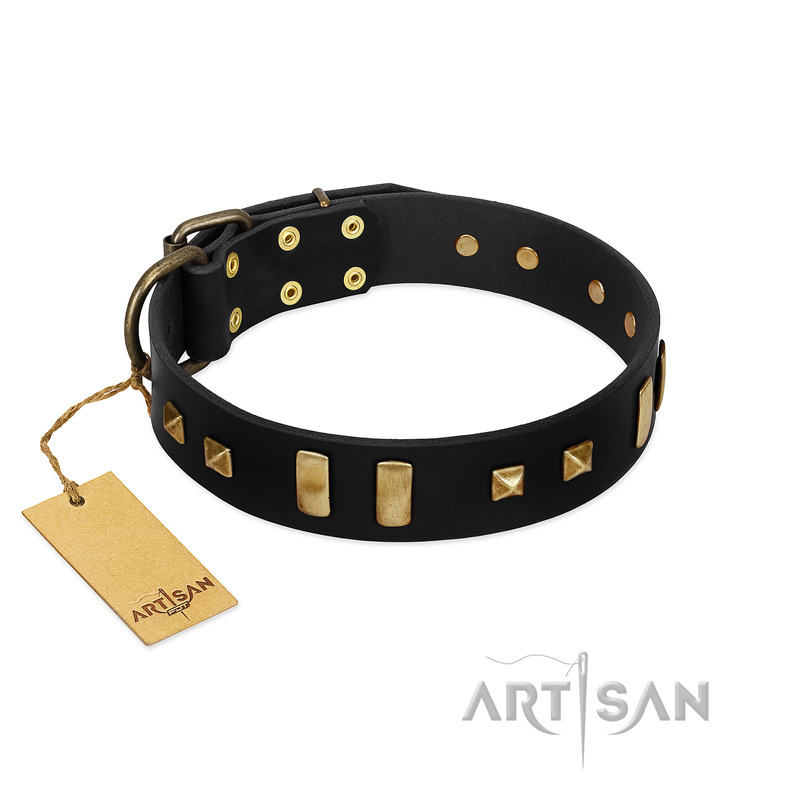 "Fit for Royalty" FDT Artisan Black Leather Labrador Collar with Plates and Small Square Studs