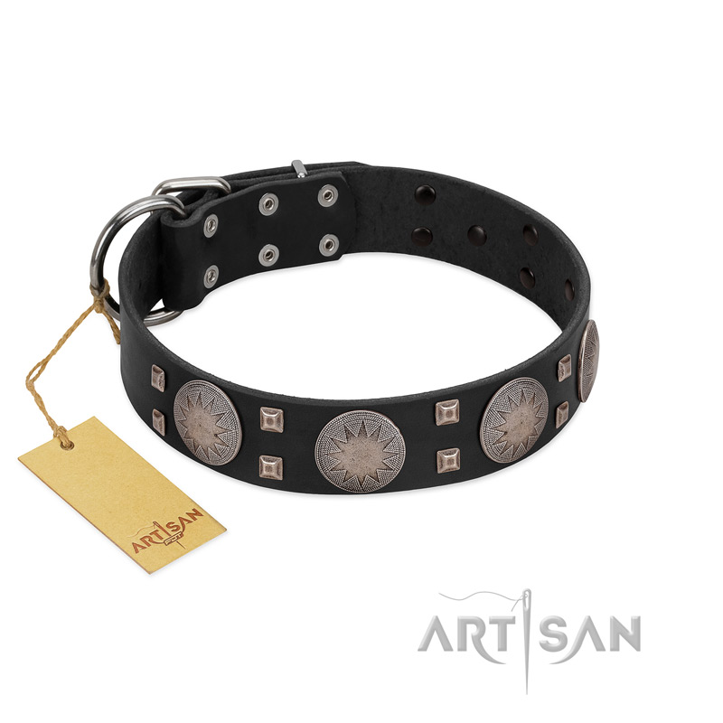 "Sun in Shining" Modern FDT Artisan Black Leather Labrador Collar with Studs and Stars