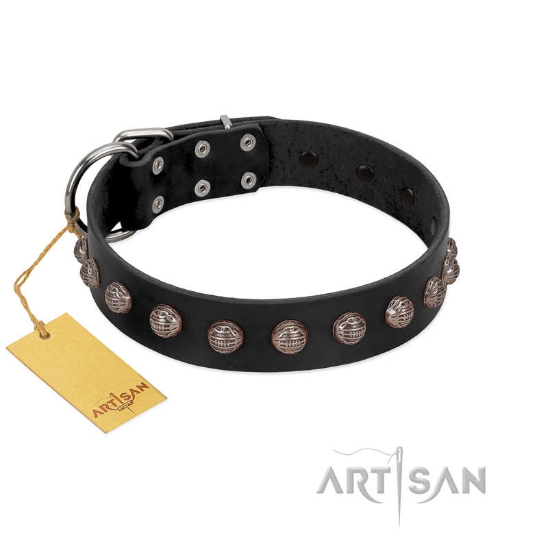 "Bizarre Affection" Designer Handmade FDT Artisan Black Leather Labrador Collar