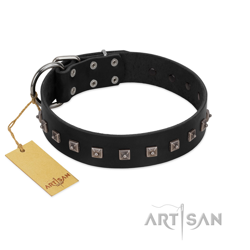 "Natural Beauty" Premium Quality FDT Artisan Black Designer Labrador Collar with Dotted Studs