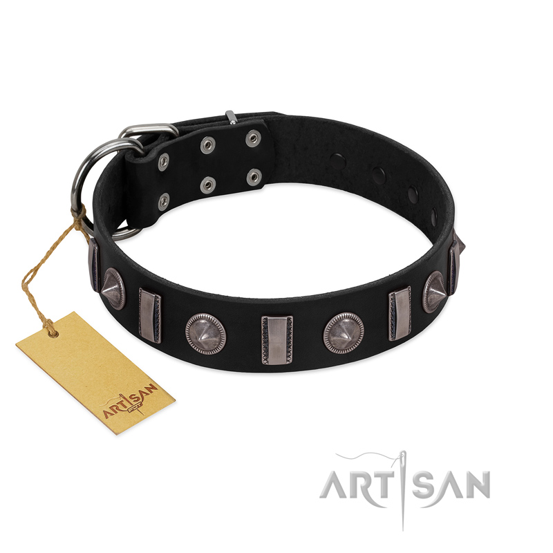 "Silver Spikes" Exclusive FDT Artisan Black Leather Labrador Collar