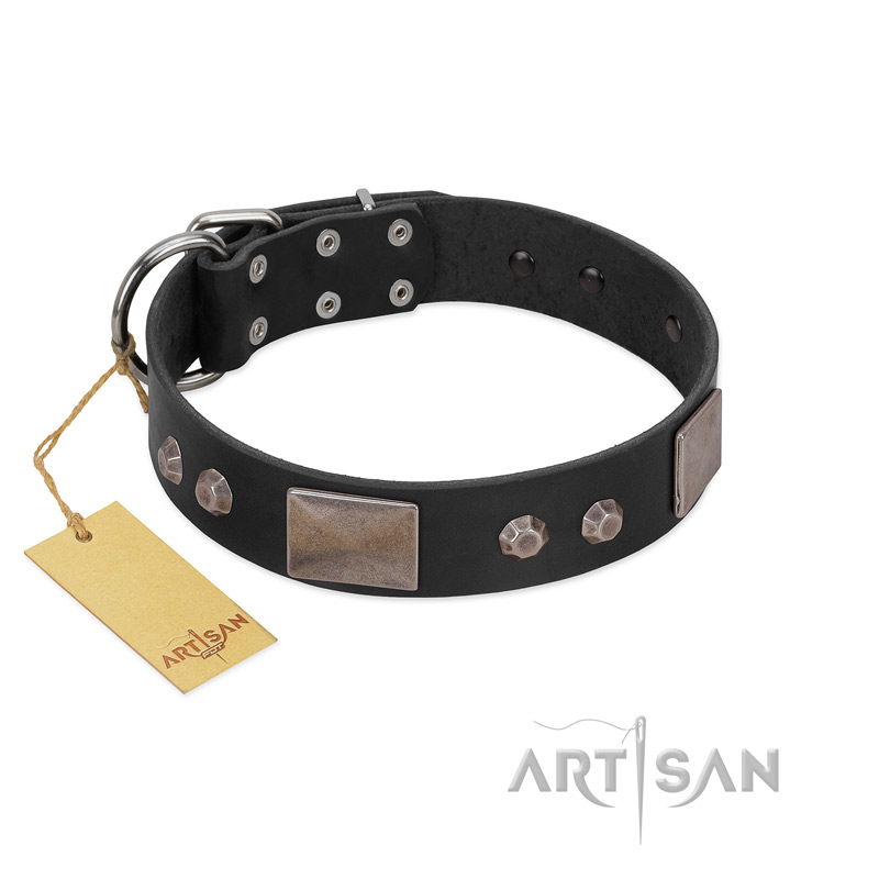 "Square Stars" Modern FDT Artisan Black Leather Labrador Collar with Square Plates and Studs