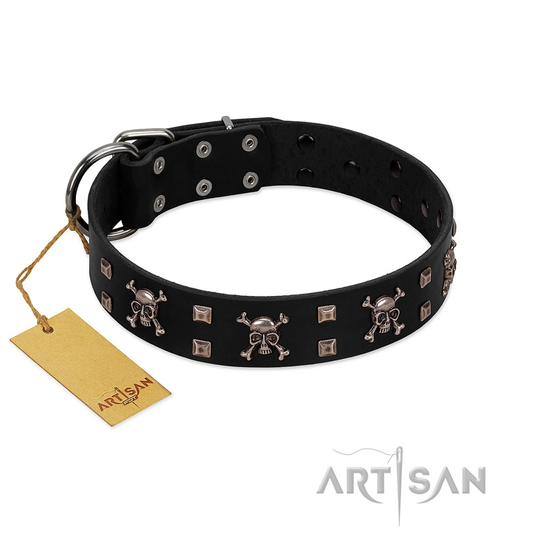 "Black Jack" Stylish Handmade FDT Artisan Black Leather Labrador Collar