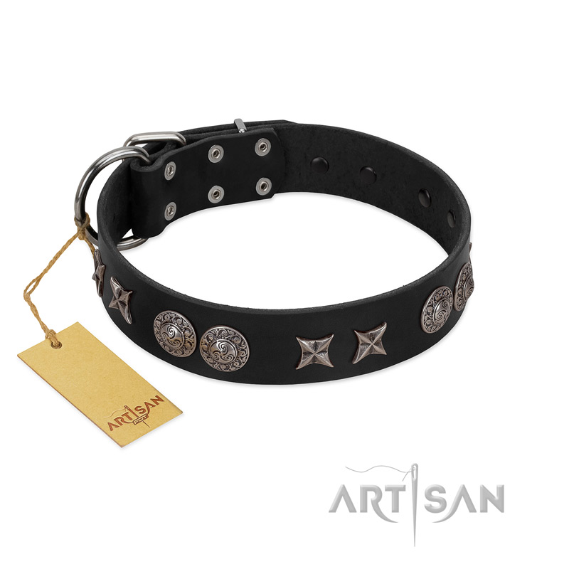 "Scythian Silver" Stylish Handmade FDT Artisan Black Leather Labrador Collar