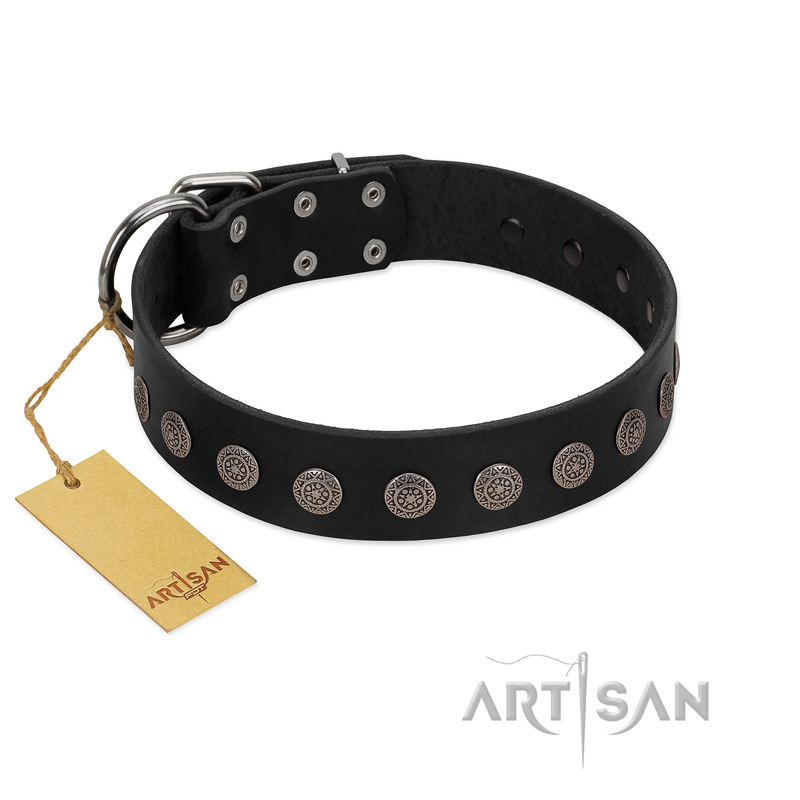 "Silent Star" Handmade FDT Artisan Designer Black Leather Labrador Collar with Engraved Plates
