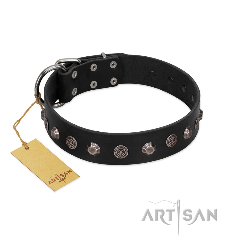 "Black Knight" Handmade FDT Artisan Black Leather Labrador Collar with Silver-Like Studs - Click Image to Close