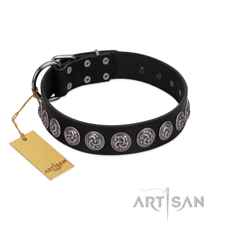 "Black Raven" Handmade FDT Artisan Black Leather Labrador Collar with Silver-Like Adornments