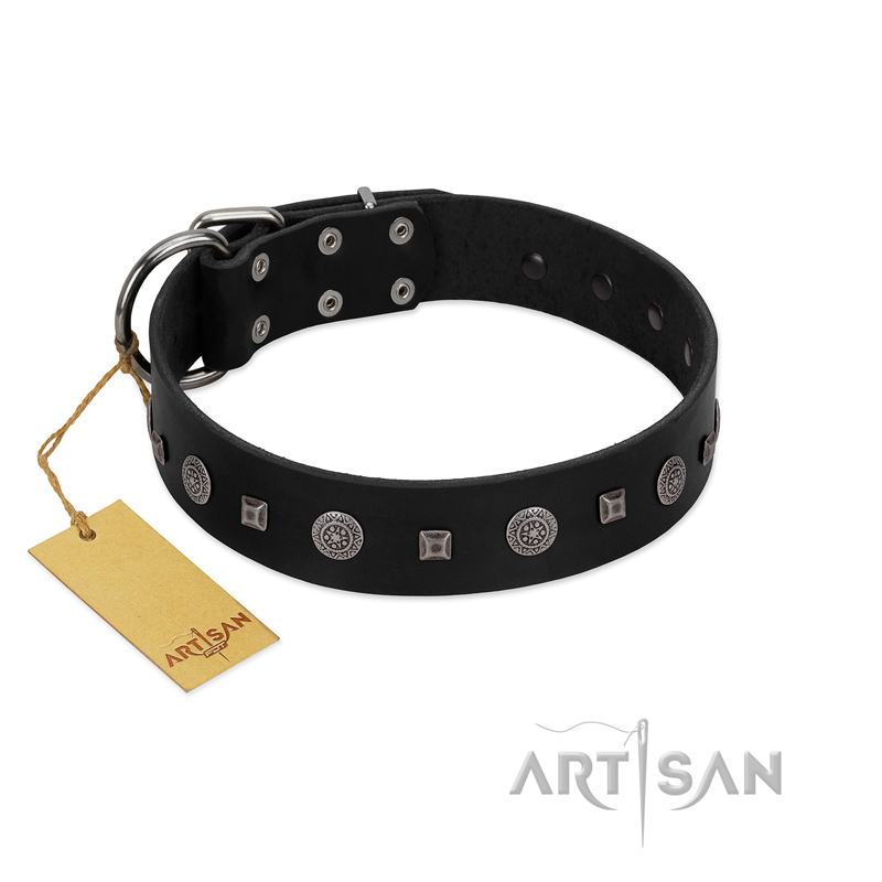 "Mr. Elegance" Designer FDT Artisan Black Leather Labrador Collar with Silver-Like Studs