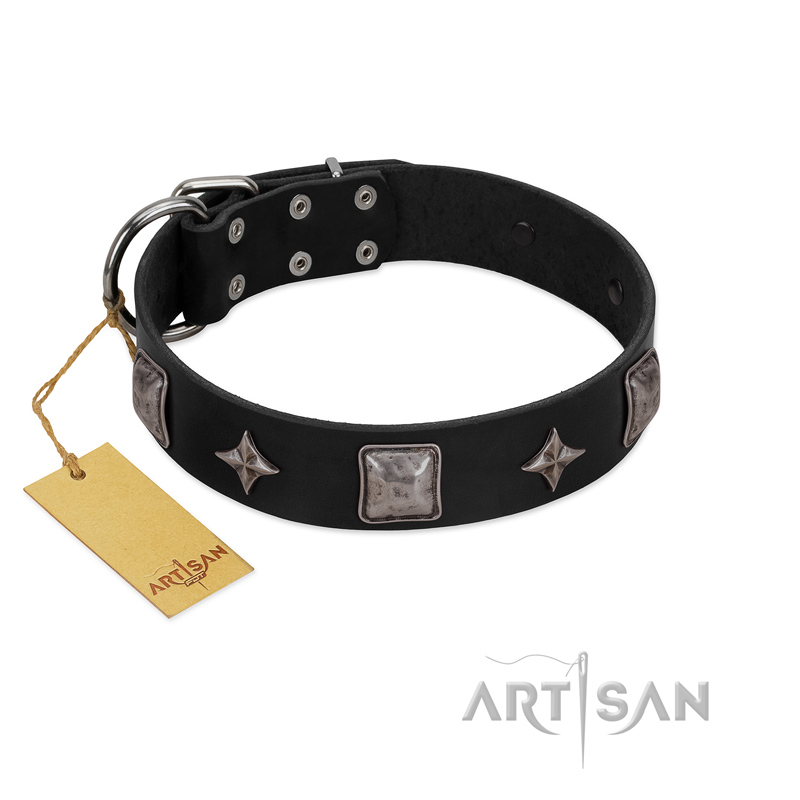 "Black Cavalier" Handmade FDT Artisan Black Leather Labrador Collar with Silver-Like Stars and Large Plates