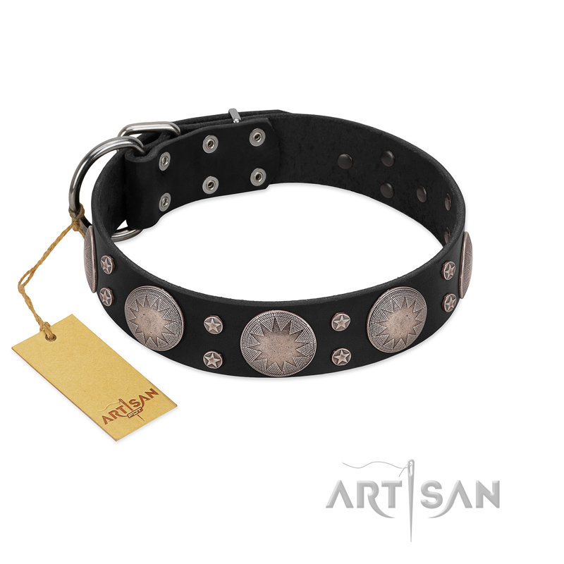 "Starry Sky" Trendy FDT Artisan Black Leather Labrador Collar with Large Brooches