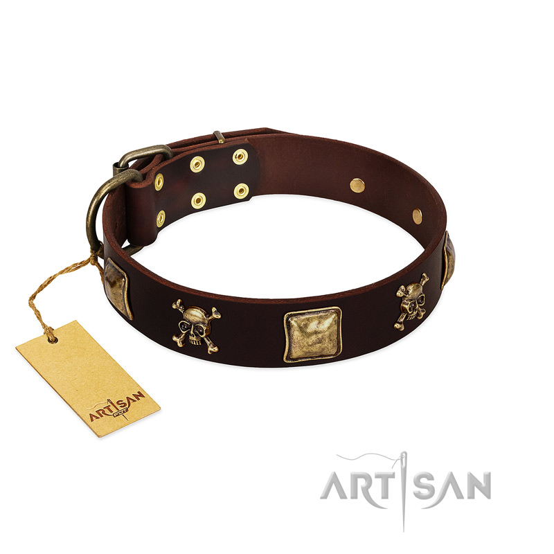 "Crazy Pirate" FDT Artisan Brown Leather Labrador Collar with Old Bronze-Plated Skulls and Plates