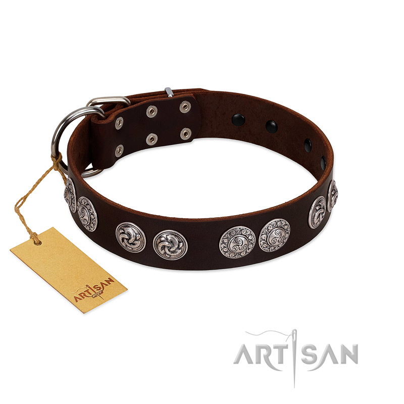"High and Mighty" FDT Artisan Classy Brown Leather Labrador Collar with Embellished Brooches