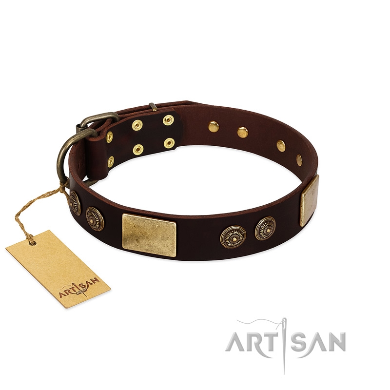 "Bow-Wow Effect" FDT Artisan Brown Leather Labrador Collar with Plates and Ornate Studs