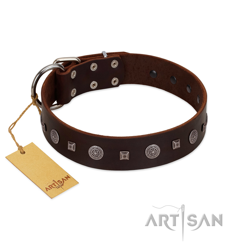 "Pure Sensation" Exclusive FDT Artisan Brown Leather Labrador Collar with Fancy Brooches and Studs