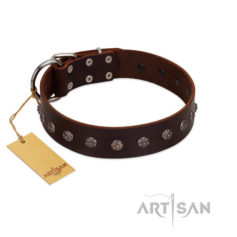 "Graceful Classic" Mod FDT Artisan Brown Leather Labrador Collar