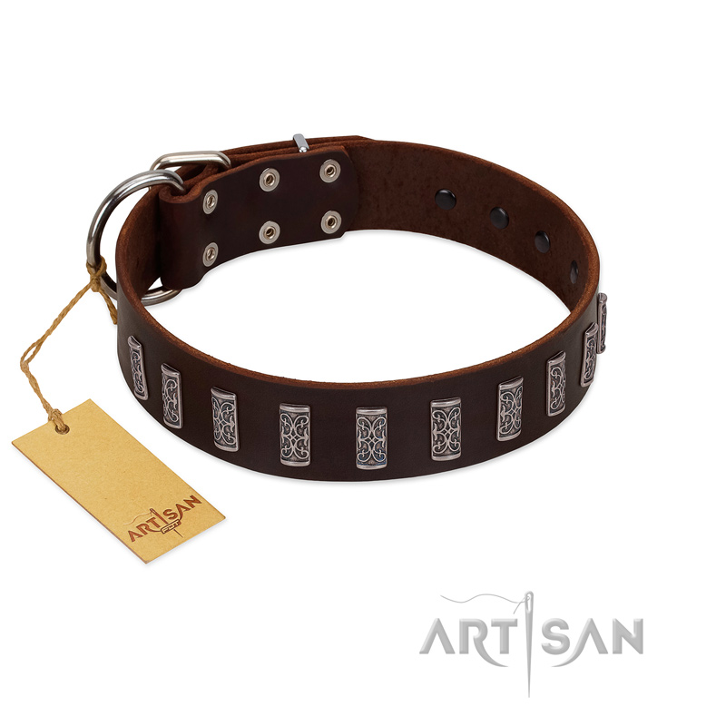 "Brown Lace" Handmade FDT Artisan Brown Leather Labrador Collar for Everyday Walks