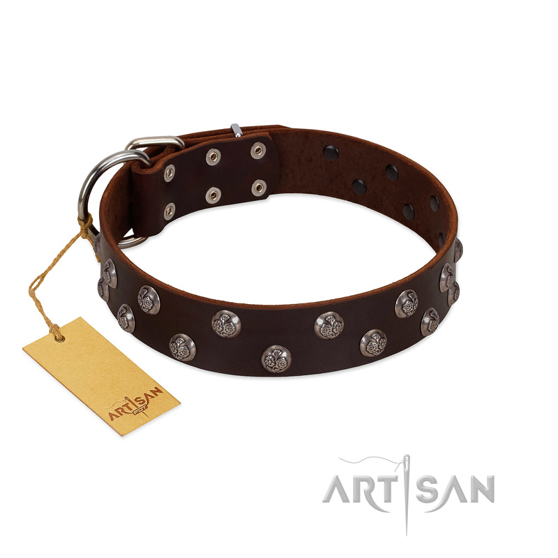 "Blossom Jewel" FDT Artisan Brown Leather Labrador Collar with Two Rows of Silver-like Studs with Engraved Flowers