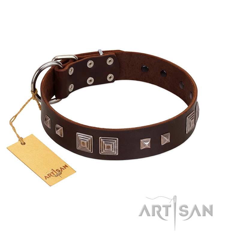 "Object of Virtu" FDT Artisan Brown Leather Labrador Collar with Old Silver-like Square Studs and Pyramids