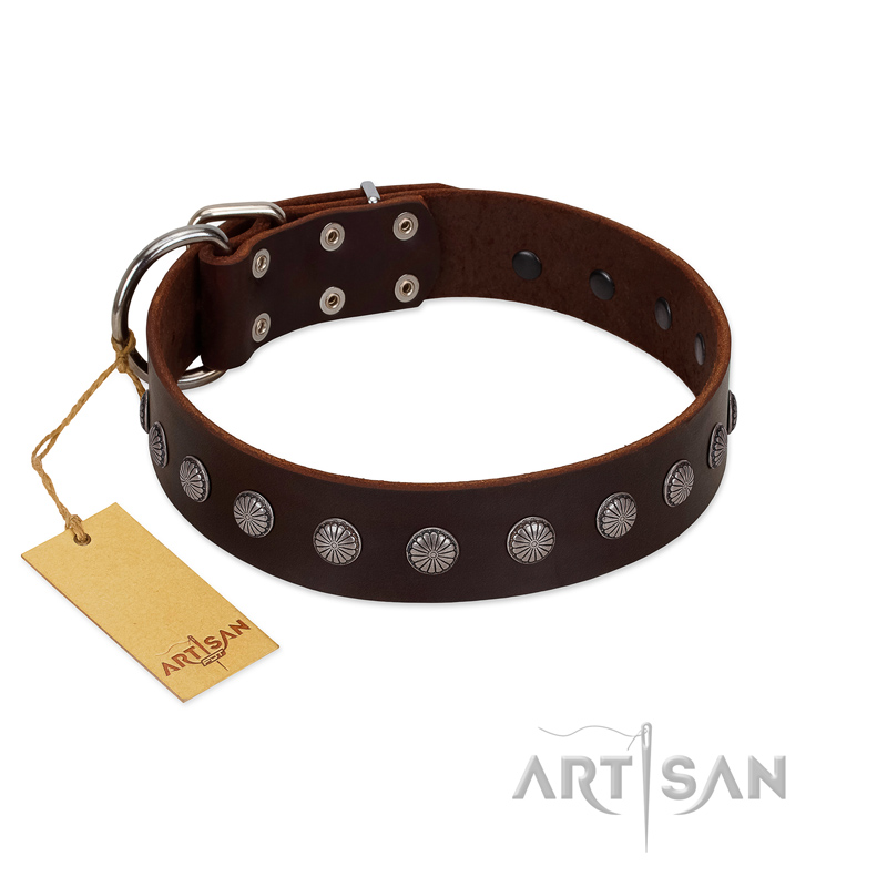 "Spring Flower" Stylish FDT Artisan Brown Leather Labrador Collar for Comfy Walks