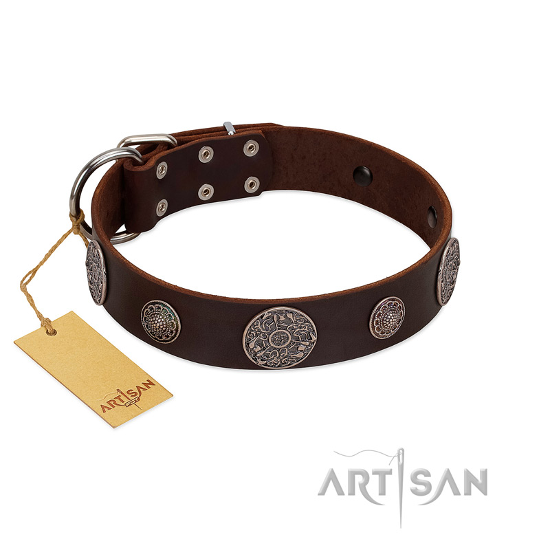 "Flashy Woof" FDT Artisan Brown Leather Labrador Collar with Chrome Plated Brooches