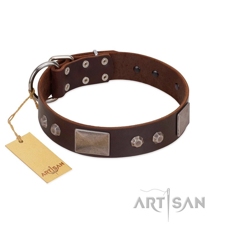 "Stone Stars" Stylish Handmade FDT Artisan Brown Leather Labrador Collar