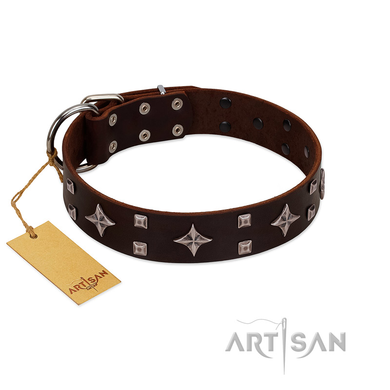"Trendy Candy" FDT Artisan Brown Leather Labrador Collar Adorned with Stars and Tiny Squares