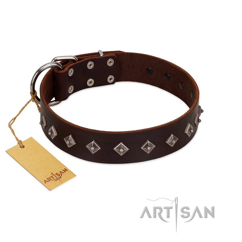 "Boundless Energy" Premium Quality FDT Artisan Brown Designer Leather Labrador Collar with Small Pyramids