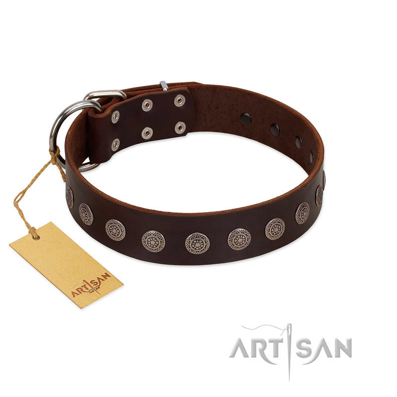 "Starry-Eyed" Best Quality FDT Artisan Brown Designer Leather Labrador Collar with Small Plates
