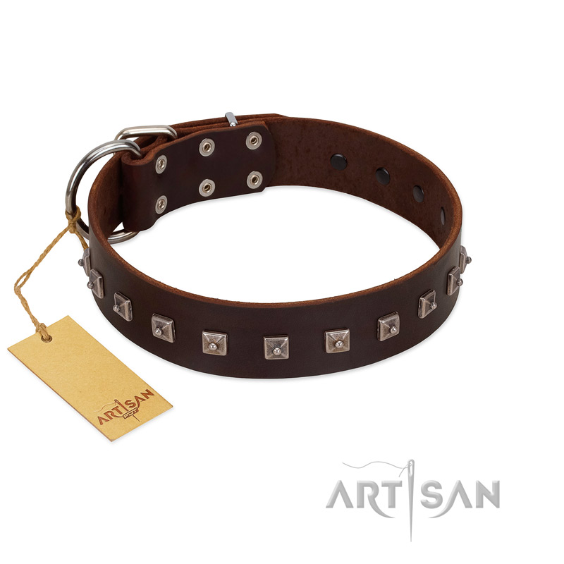 "Kingly Grace" FDT Artisan Brown Leather Labrador Collar with Silver-like Dotted Studs