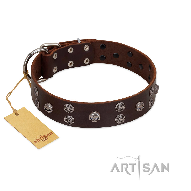 "Skull Valley" Handcrafted FDT Artisan Brown Leather Labrador Collar with Skulls - Click Image to Close