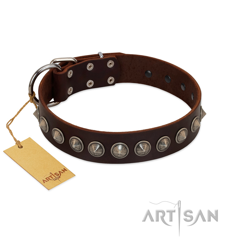 "Gothic Style" FDT Artisan Fancy Brown Leather Labrador Collar with Silver-Like Decorations