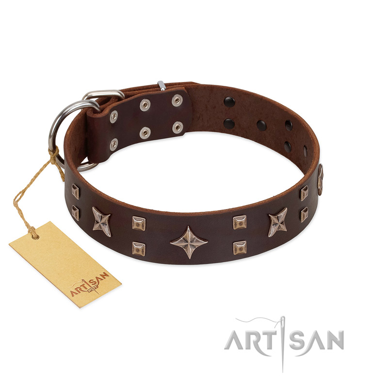 "Stars in Sands" Modern FDT Artisan Brown Leather Labrador Collar with Studs and Stars